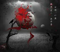 缇庝附鐨勫闊筹紝鏉嚜绾灚-开云在线